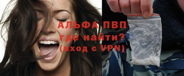бошки Бородино