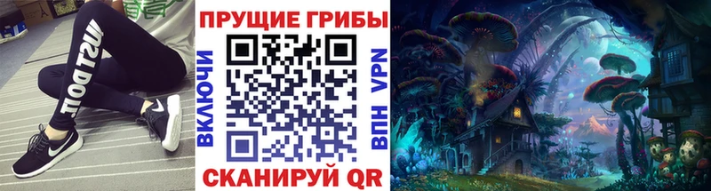 цены   Новоржев  Псилоцибиновые грибы MAGIC MUSHROOMS 